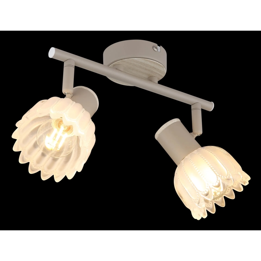 Globo - Bodové svietidlo 2xE14/40W/230V