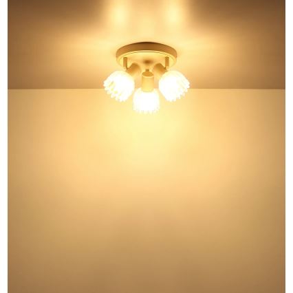 Globo - Bodové svietidlo 3xE14/40W/230V