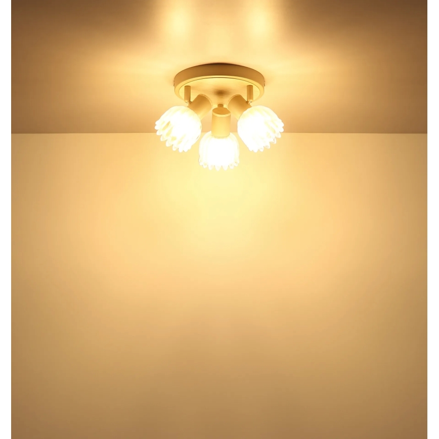 Globo - Bodové svietidlo 3xE14/40W/230V