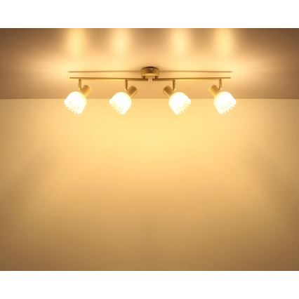 Globo - Bodové svietidlo 4xE14/40W/230V