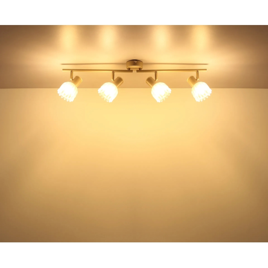 Globo - Bodové svietidlo 4xE14/40W/230V