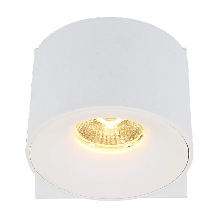Globo - LED Nástenné bodové svietidlo LED/6W/230V biela