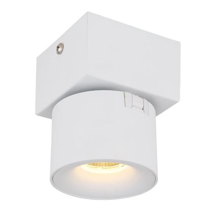 Globo - LED Nástenné bodové svietidlo LED/6W/230V biela
