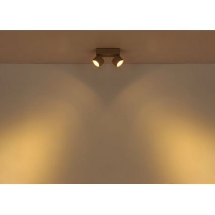 Globo - LED bodové svietidlo 2xLED/6W/230V