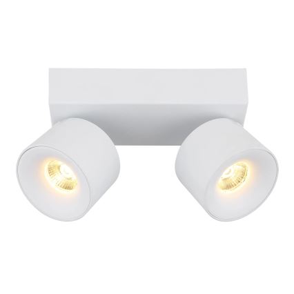 Globo - LED Bodové svietidlo 2xLED/6W/230V biela