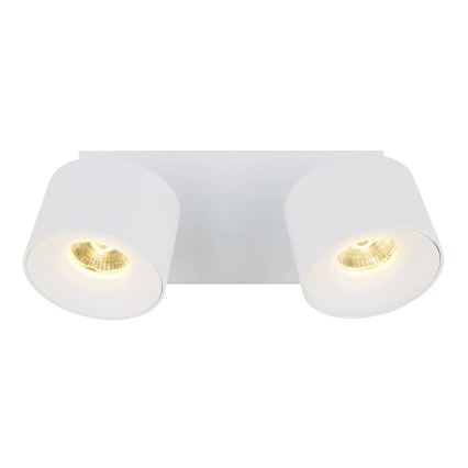 Globo - LED Bodové svietidlo 2xLED/6W/230V biela