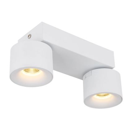 Globo - LED Bodové svietidlo 2xLED/6W/230V biela