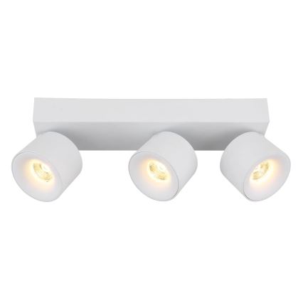 Globo - LED Bodové svietidlo 3xLED/6W/230V biela