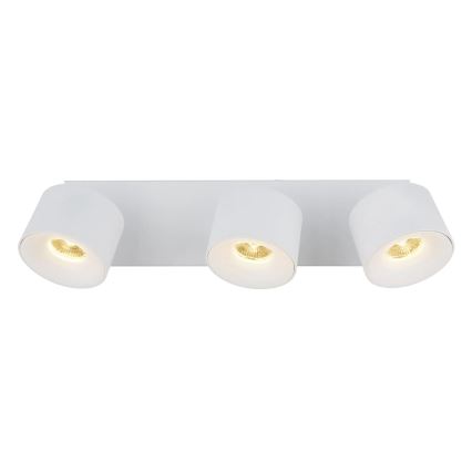 Globo - LED Bodové svietidlo 3xLED/6W/230V biela