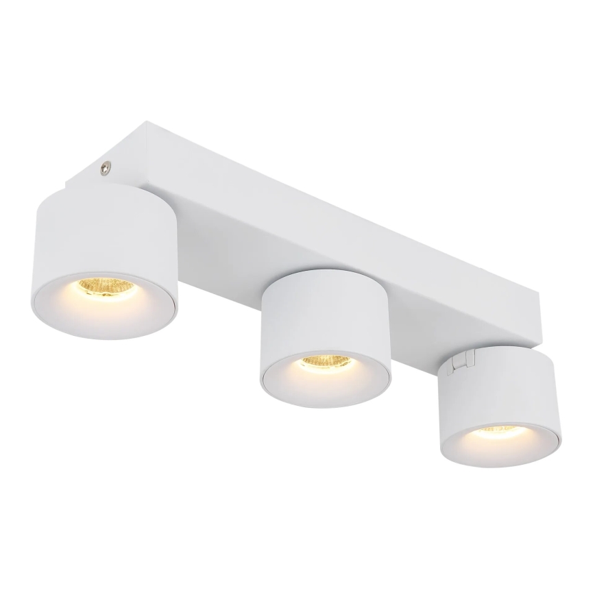 Globo - LED Bodové svietidlo 3xLED/6W/230V biela