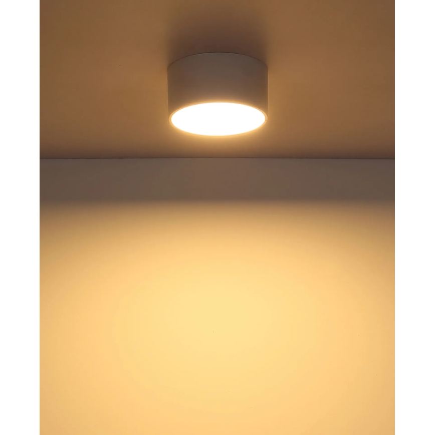Globo - LED stropné svietidlo LED/12W/230V 3000K pr. 15 cm biela