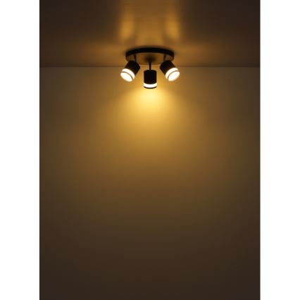 Globo - LED Bodové svietidlo 3xGX53/7W/230V 3000K