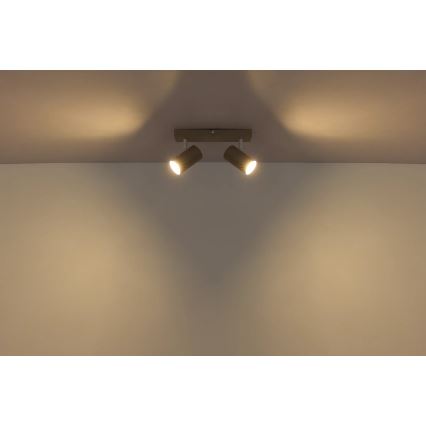 Globo - Bodové svietidlo 2xGU10/35W/230V