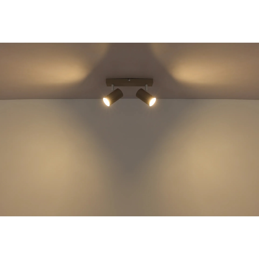 Globo - Bodové svietidlo 2xGU10/35W/230V