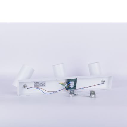 Globo - Bodové svietidlo 3xGU10/35W/230V biela