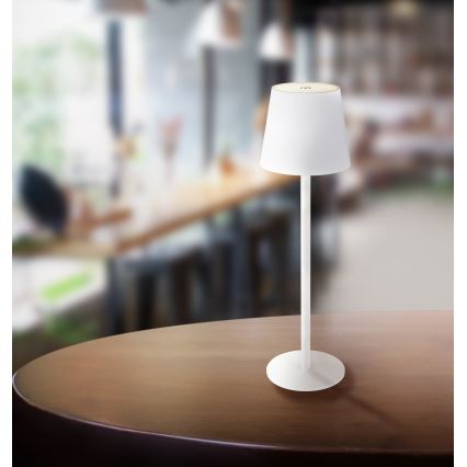 Globo - LED Stmievateľná dotyková vonkajšia lampa LED/3W/3,7V IP44 1800 mAh USB biela
