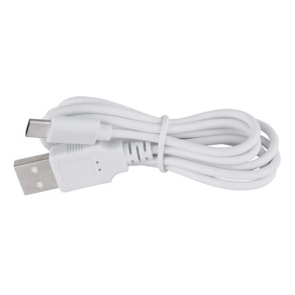 Globo - LED Stmievateľná dotyková stolná lampa LED/1W/3,7V 3000K 1800 mAh USB biela