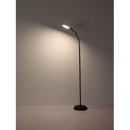 Globo - LED stmievateľná dotyková stojacia lampa LED/8W/230V 2700K/4000K/6500K čierna