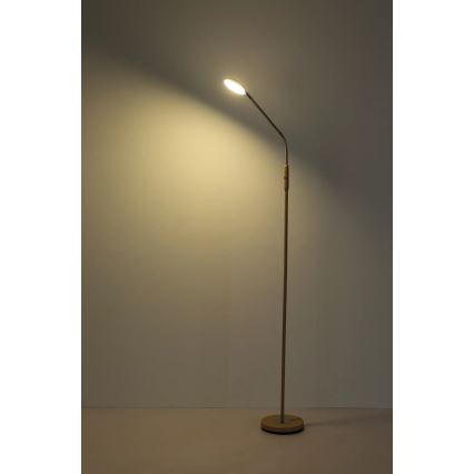 Globo - LED Stmievateľná dotyková stojacia lampa LED/6,5W/230V 2700/3350/4000K béžová