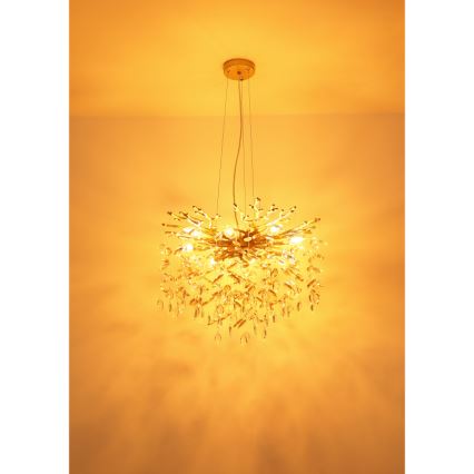 Globo - Luster na lanku 8xE14/40W/230V zlatý