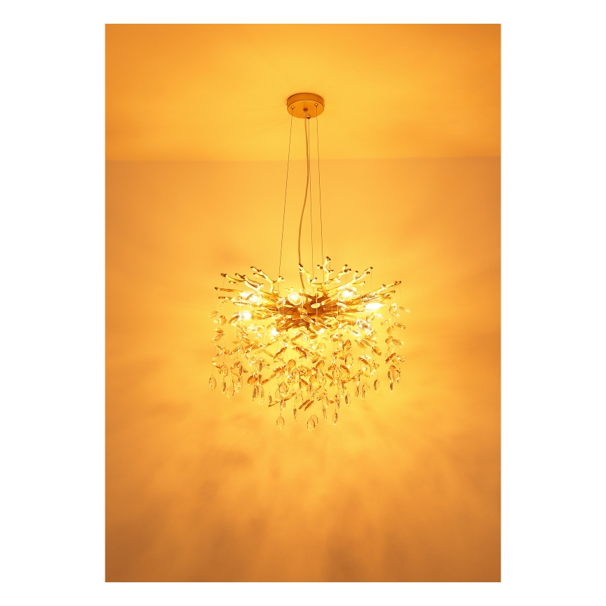 Globo - Luster na lanku 8xE14/40W/230V zlatý