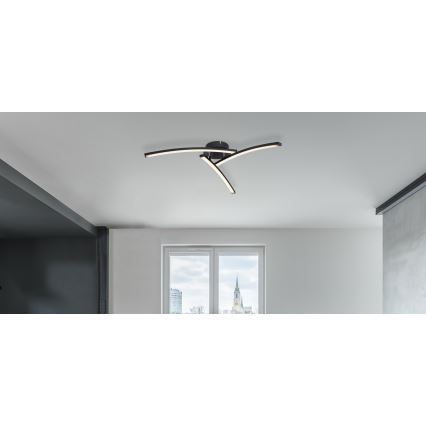 Globo - LED Prisadený luster 3xLED/6W/230V 3000/4000/6000K