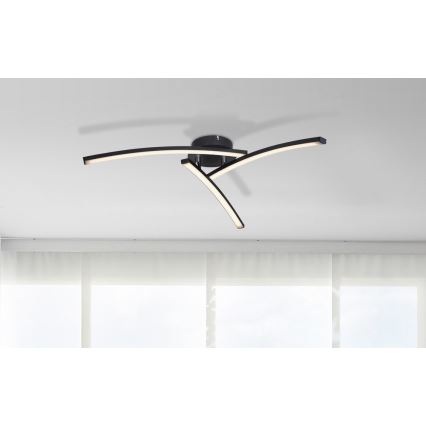 Globo - LED Prisadený luster 3xLED/6W/230V 3000/4000/6000K