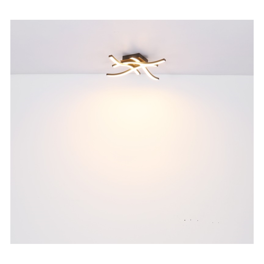 Globo - LED Prisadený luster 4xLED/5W/230V