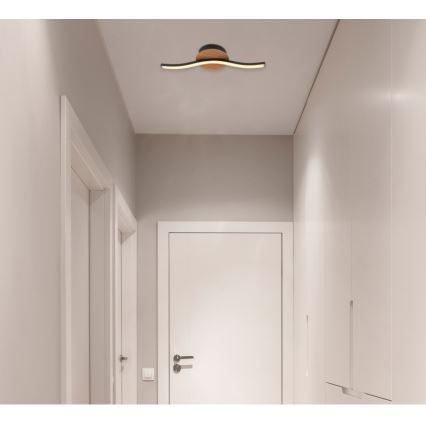 Globo - LED Stropné svietidlo LED/6W/230V