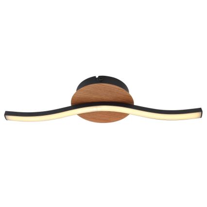 Globo - LED Stropné svietidlo LED/6W/230V