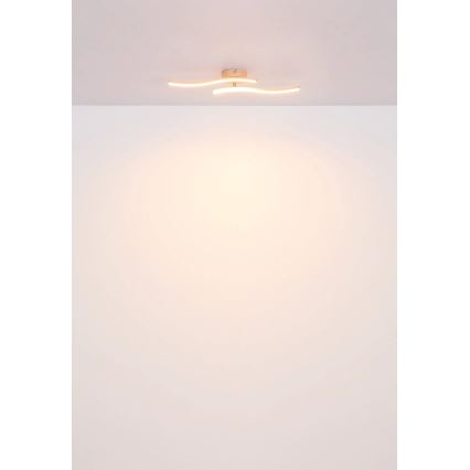 Globo - LED Prisadený luster LED/12W/230V 3000K oranžová