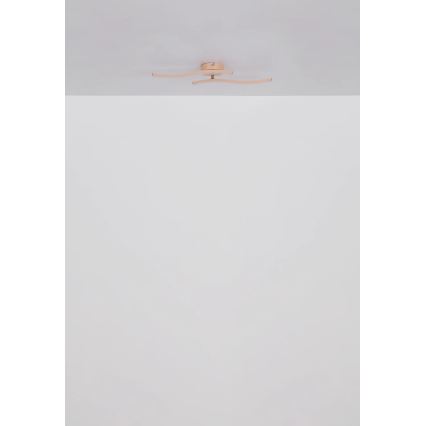 Globo - LED Prisadený luster LED/12W/230V 3000K oranžová