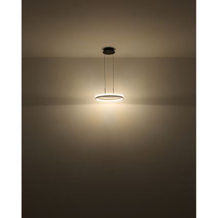 Globo - LED Luster na lanku LED/40W/230V 3000/4000/6000K pr. 39,7 cm hnedá