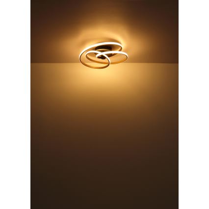 Globo - LED Prisadený luster LED/40W/230V 3000K zlatá/čierna