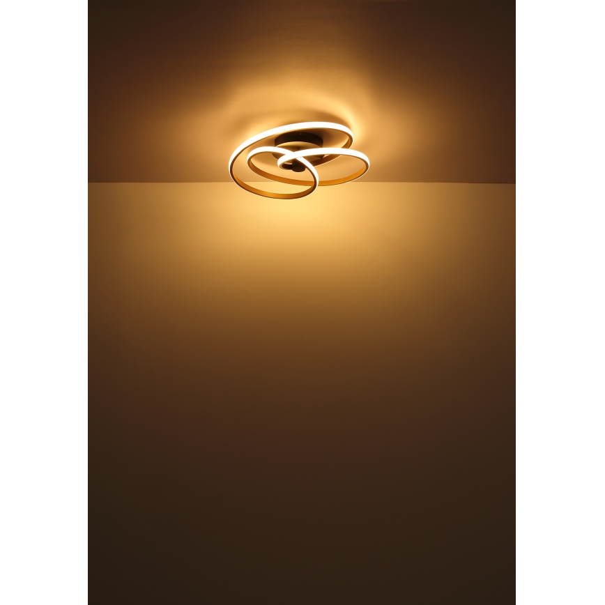 Globo - LED Prisadený luster LED/40W/230V 3000K zlatá/čierna