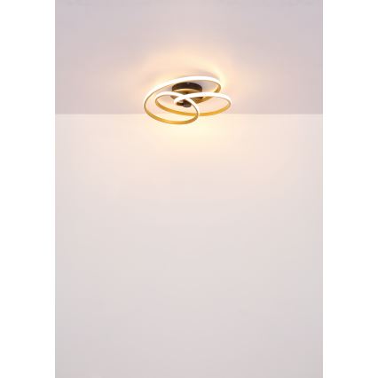 Globo - LED Prisadený luster LED/40W/230V 3000K zlatá/čierna