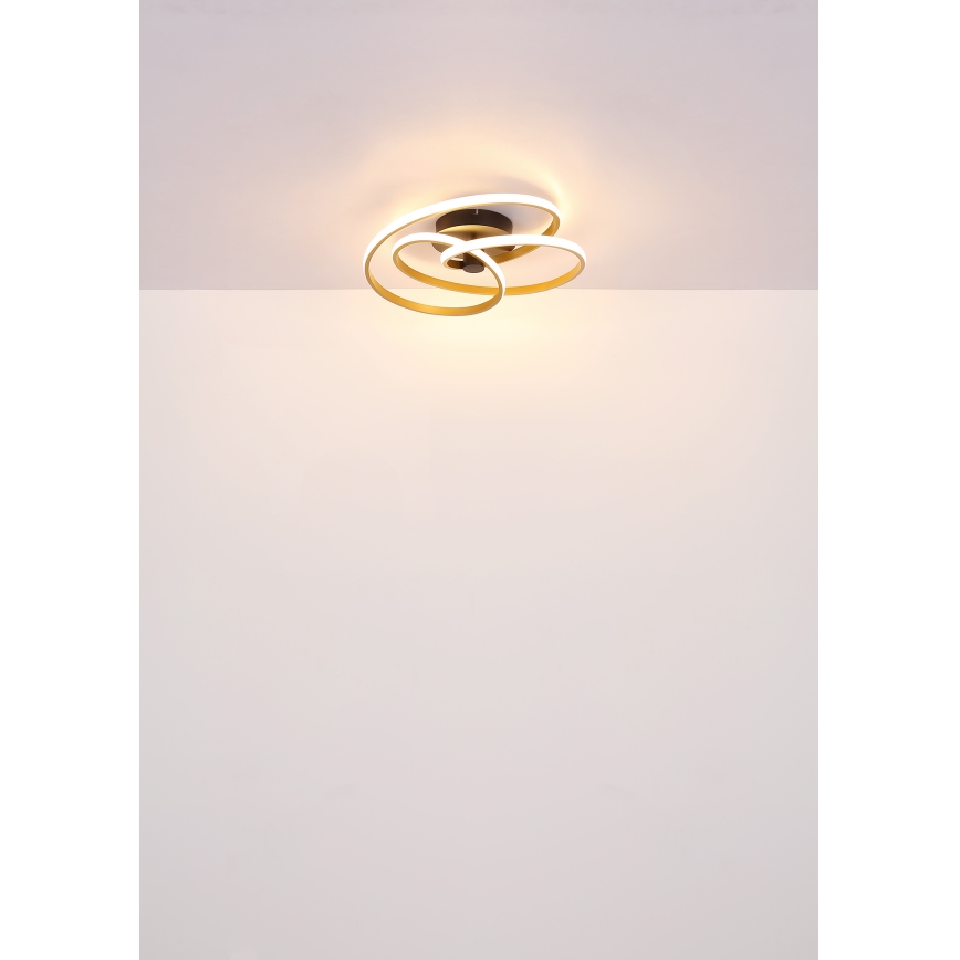 Globo - LED Prisadený luster LED/40W/230V 3000K zlatá/čierna