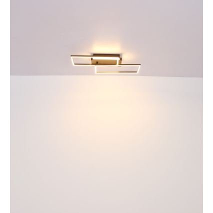 Globo - LED Stropné svietidlo LED/40W/230V 62x27 cm matný chróm/čierna