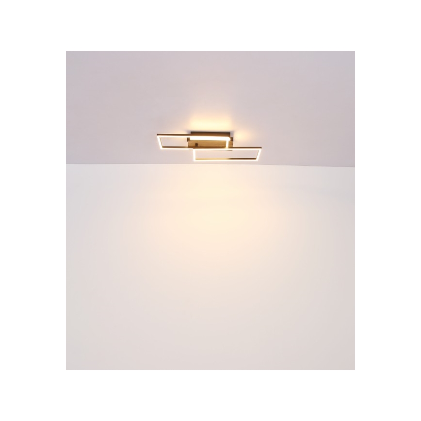 Globo - LED Stropné svietidlo LED/40W/230V 62x27 cm matný chróm/čierna