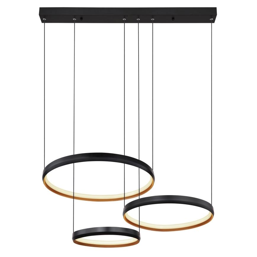 Globo - LED Stmievateľný luster na lanku LED/55W/230V 2700-6000K + diaľkové ovládanie