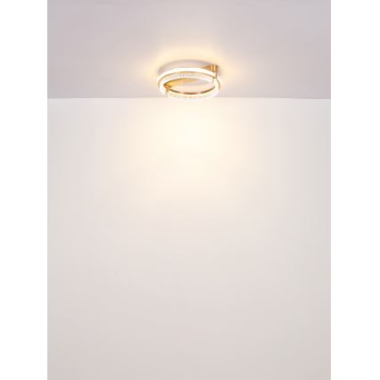 Globo - LED Stmievateľné krištáľové stropné svietidlo LED/36W/230V 2700K-6000K + diaľkové ovládanie