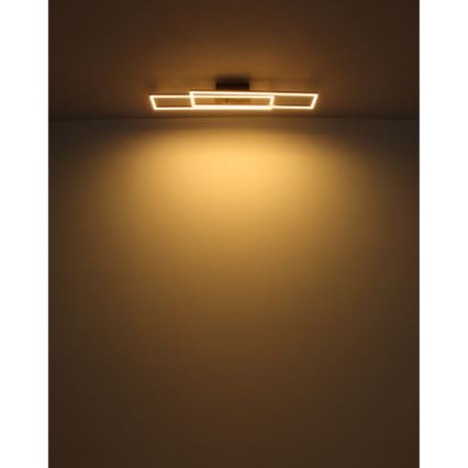 Globo - LED Stropné svietidlo LED/30W/230V 3000K 60x80 cm čierna
