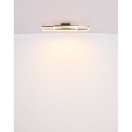 Globo - LED Stropné svietidlo LED/30W/230V 3000K 60x80 cm čierna