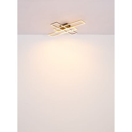 Globo - LED Stropné svietidlo LED/30W/230V 3000K 60x80 cm čierna/zlatá