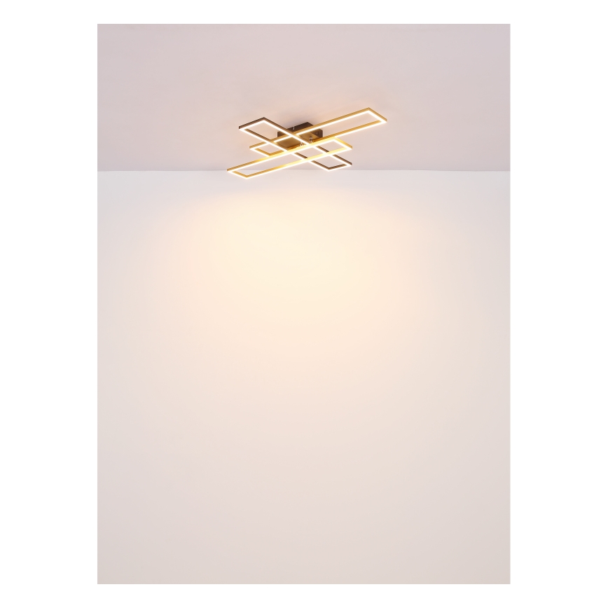 Globo - LED Stropné svietidlo LED/30W/230V 3000K 60x80 cm čierna/zlatá