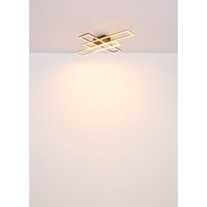 Globo - LED Stropné svietidlo LED/40W/230V 3000K 60x80 cm čierna/zlatá