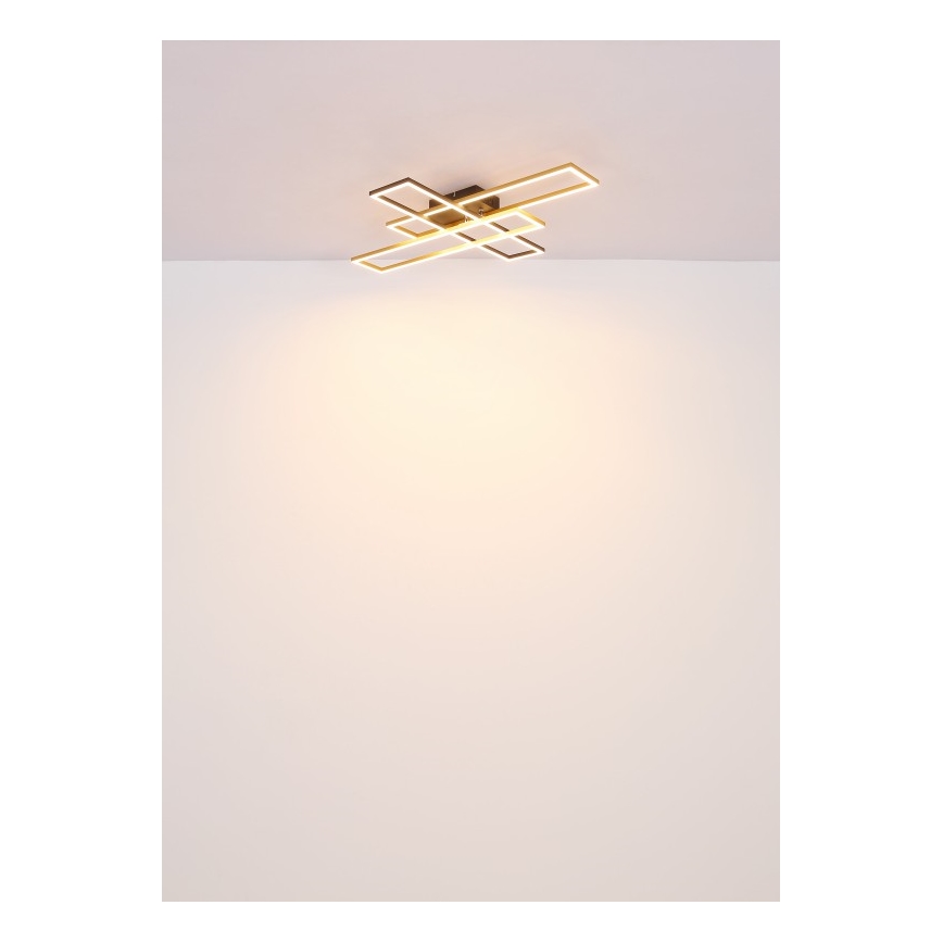 Globo - LED Stropné svietidlo LED/40W/230V 3000K 60x80 cm čierna/zlatá