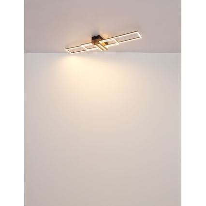 Globo - LED Stropné svietidlo LED/40W/230V 3000K 25x100 cm čierna