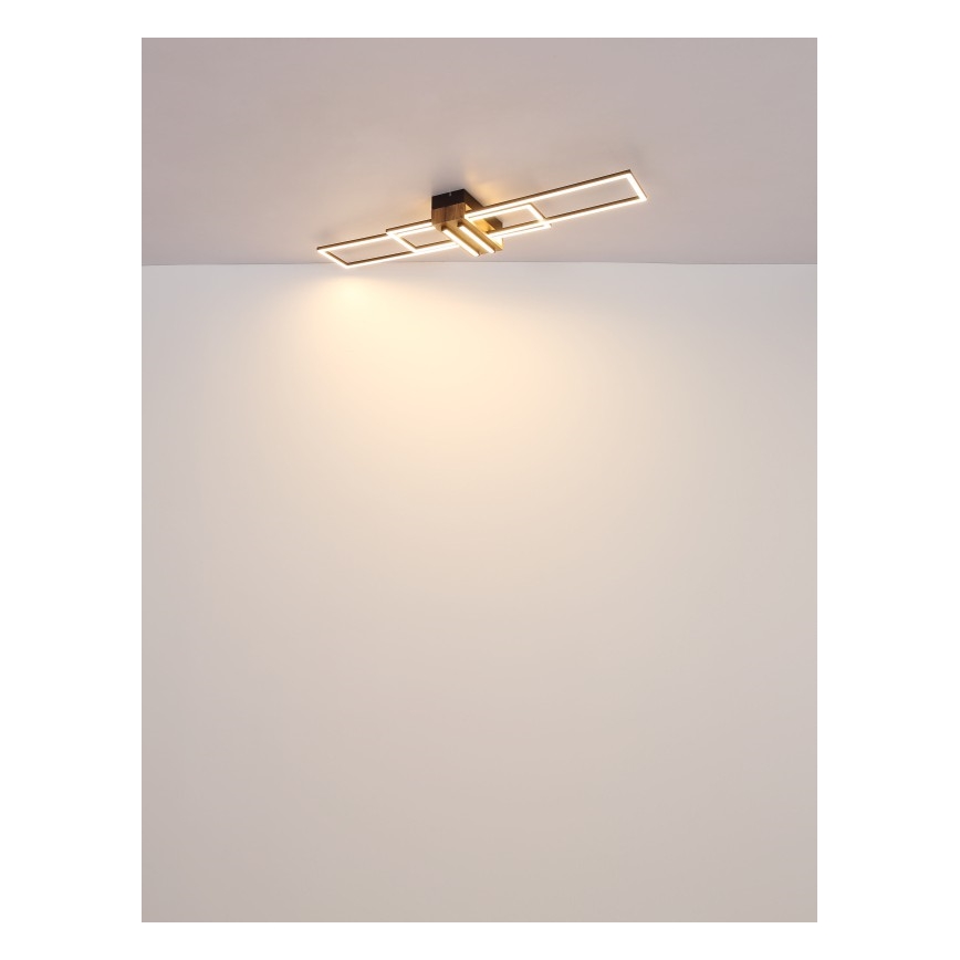 Globo - LED Stropné svietidlo LED/40W/230V 3000K 25x100 cm čierna