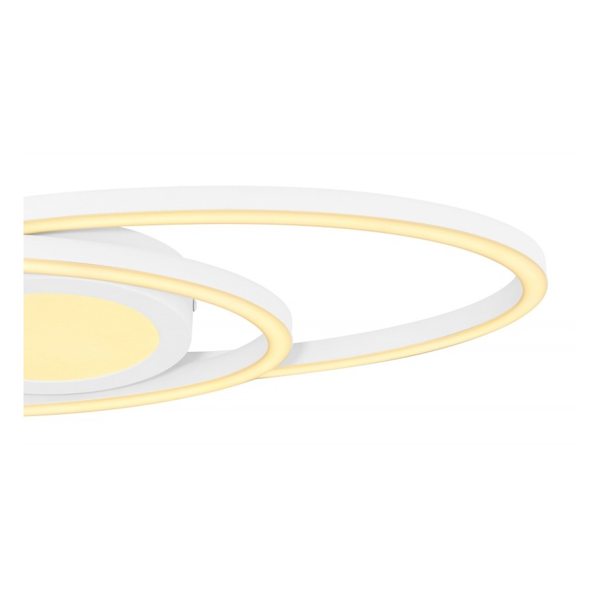 Globo - LED Stropné svietidlo LED/24W/230V